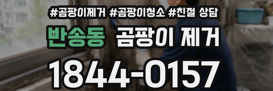 반송동 곰팡이 제거