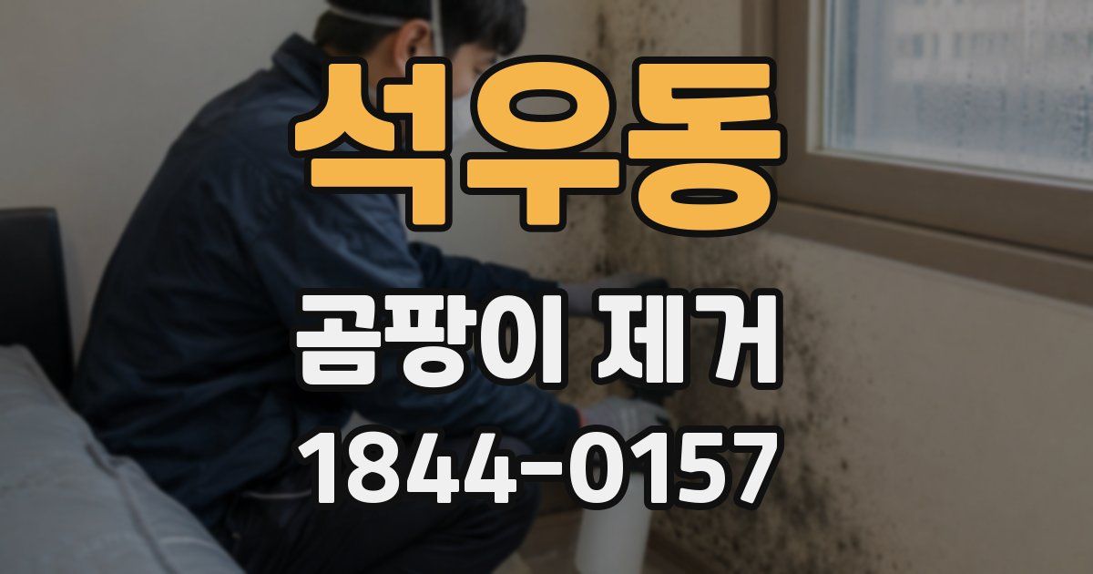 석우동 곰팡이 제거