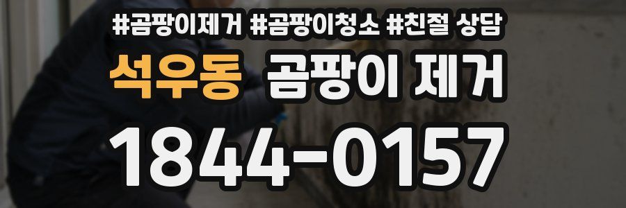 석우동 곰팡이 제거