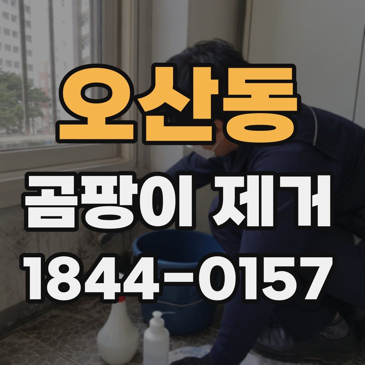 오산동 곰팡이 제거