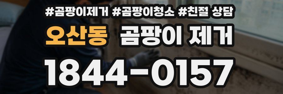 오산동 곰팡이 제거