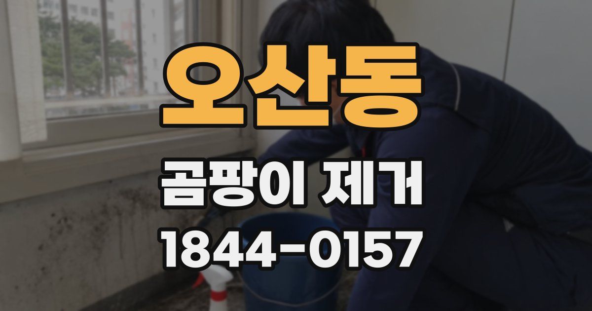 오산동 곰팡이 제거