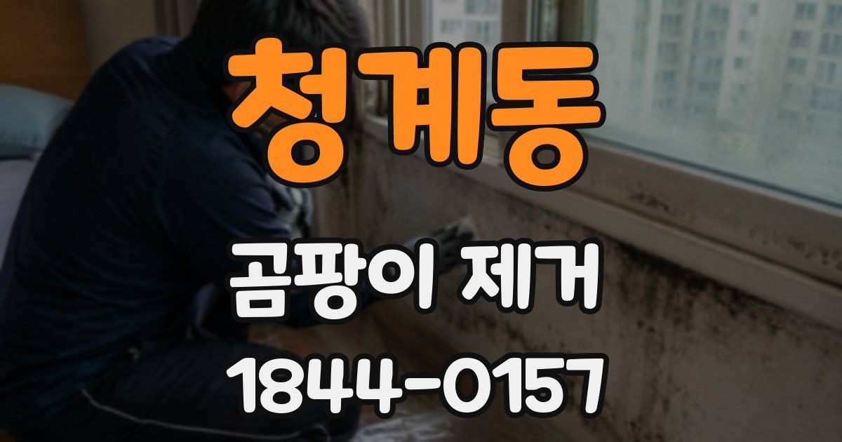 청계동 곰팡이 제거