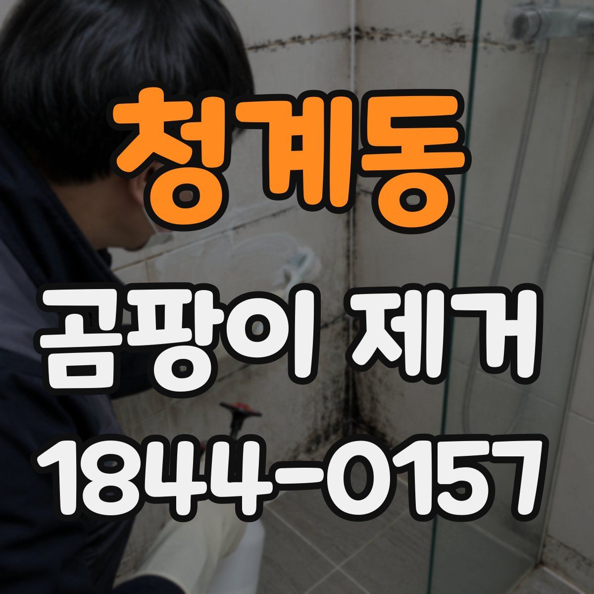 청계동 곰팡이 제거