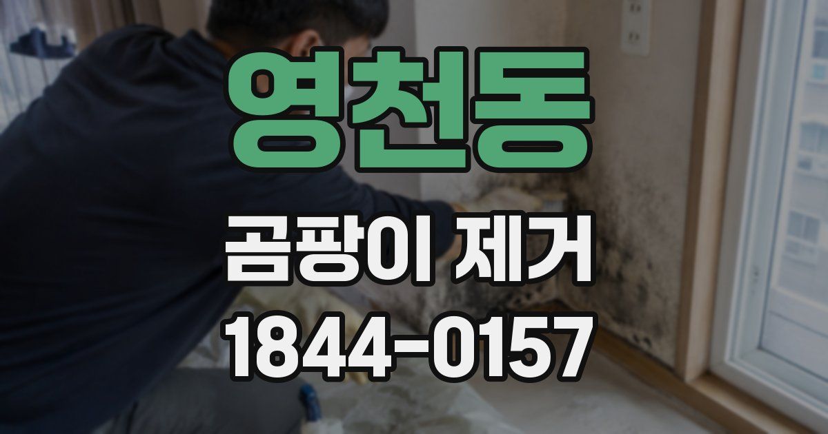 영천동 곰팡이 제거