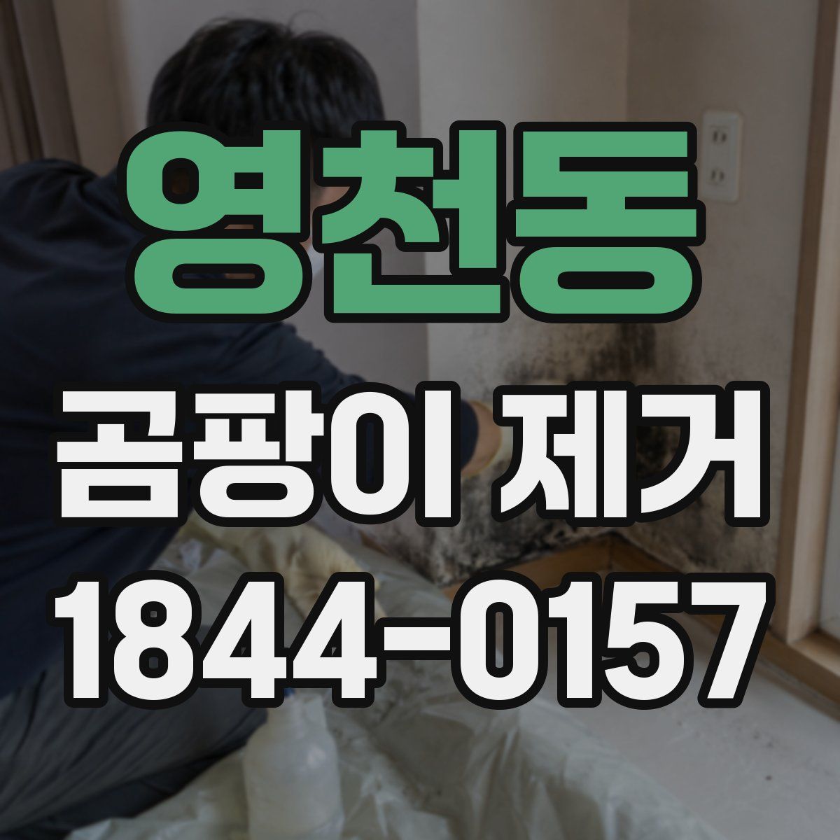 영천동 곰팡이 제거