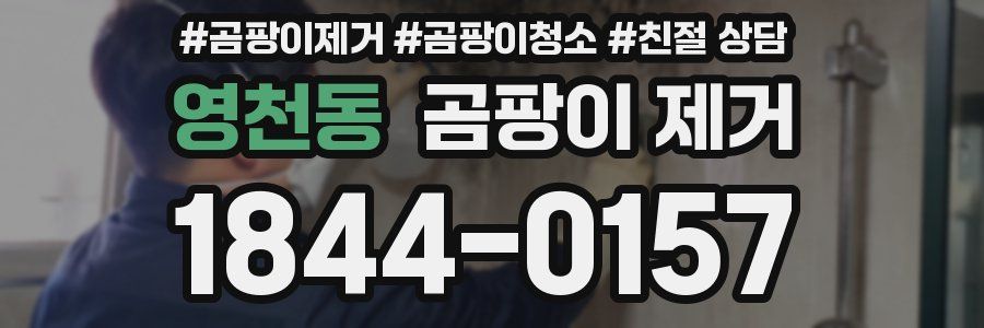 영천동 곰팡이 제거