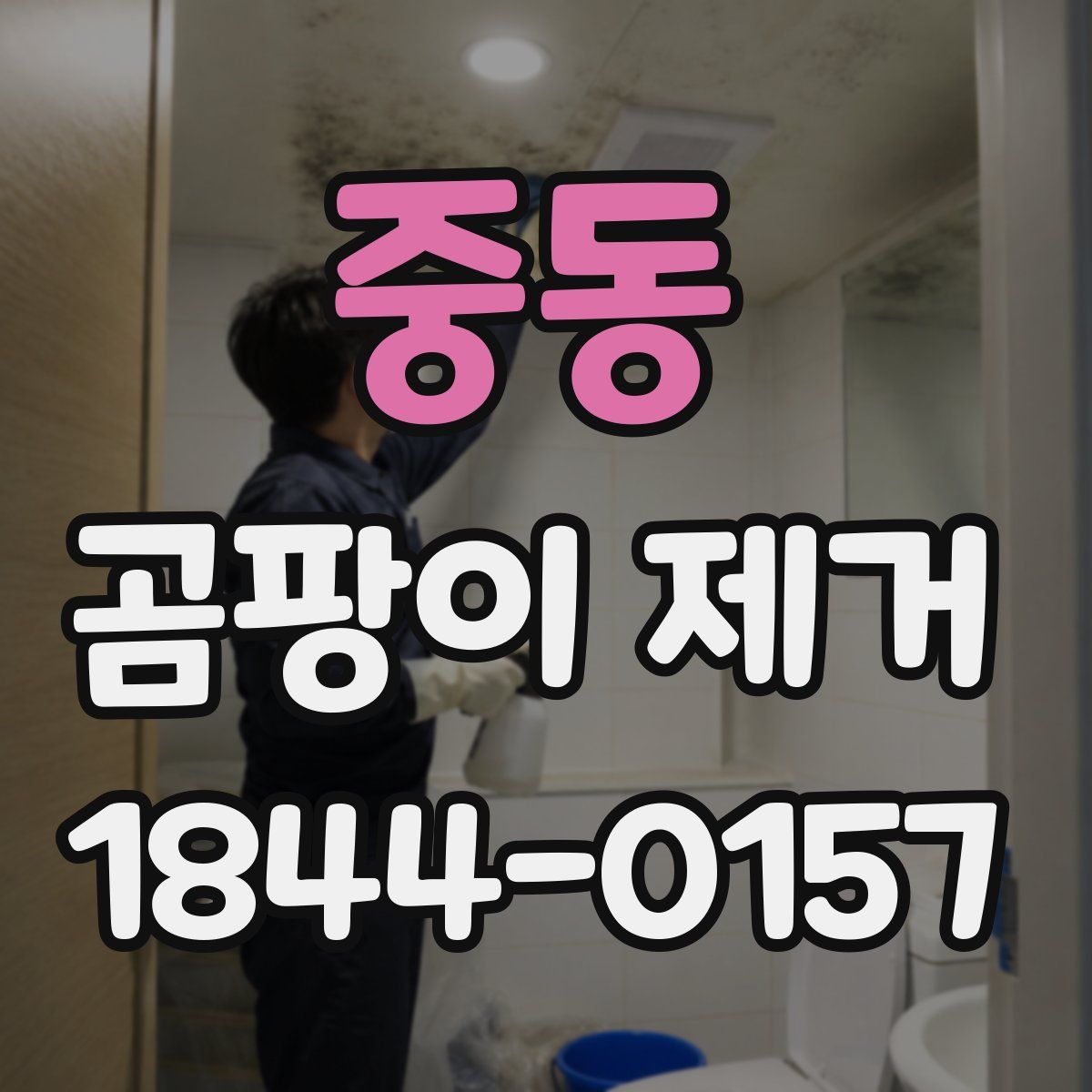 중동 곰팡이 제거
