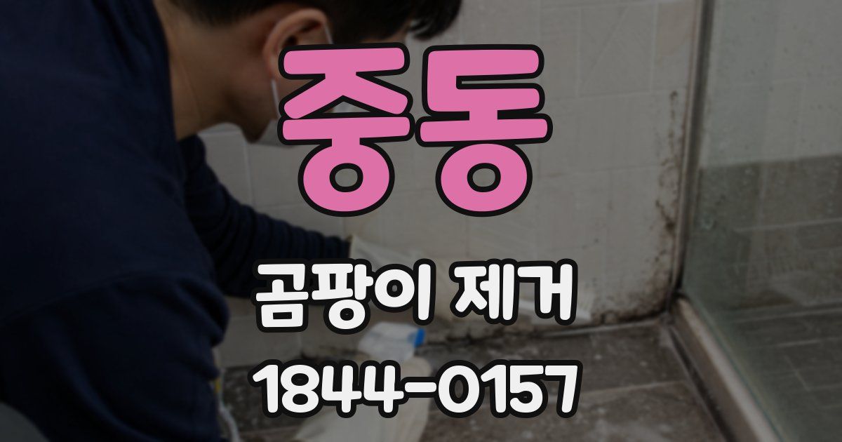 중동 곰팡이 제거