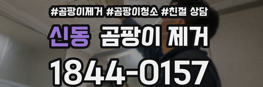 신동 곰팡이 제거