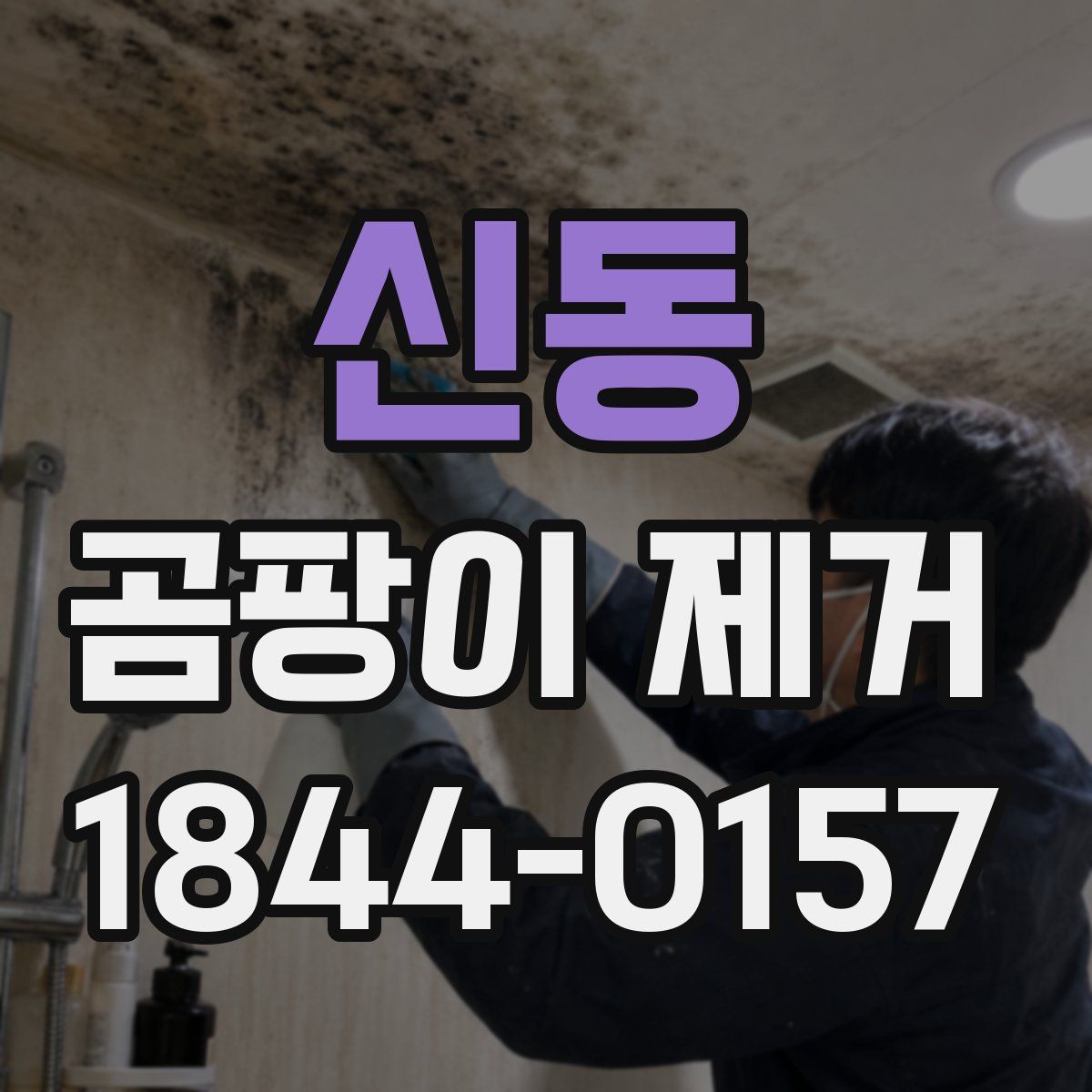 신동 곰팡이 제거