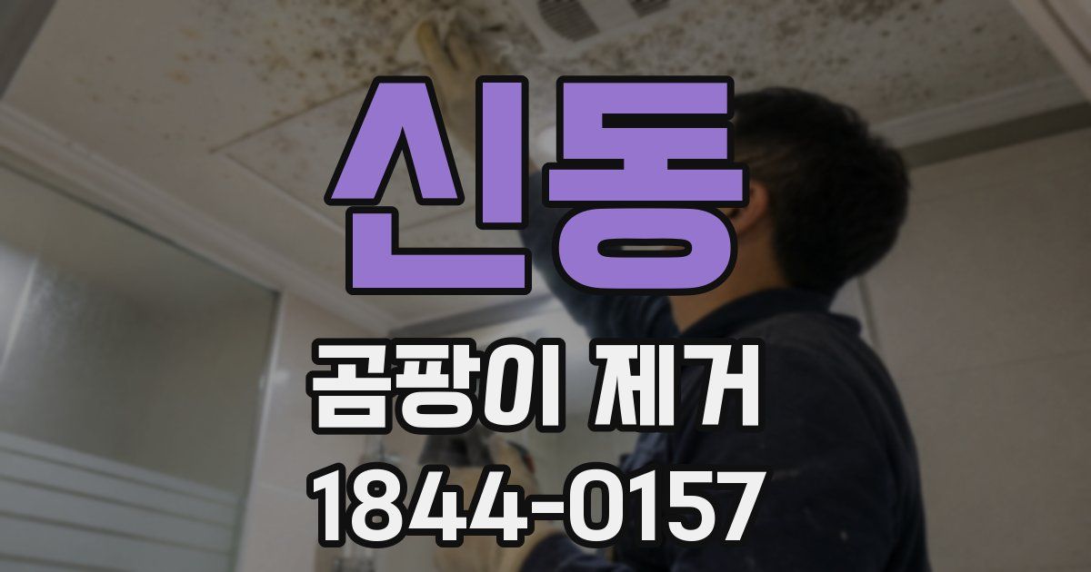 신동 곰팡이 제거
