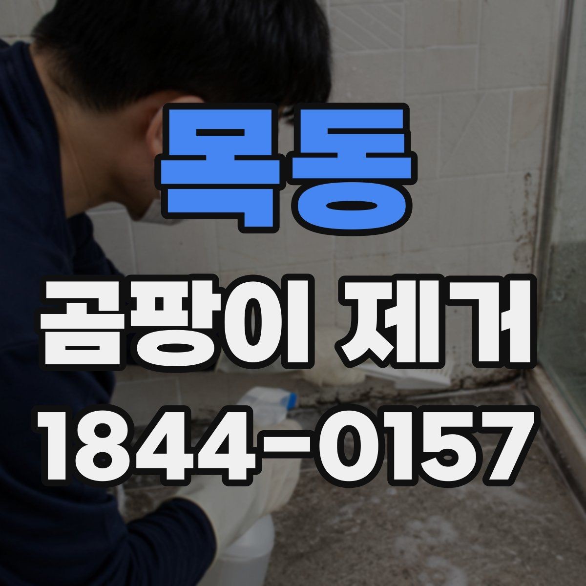 목동 곰팡이 제거 습한 벽면을 오래 두지 않는 방법