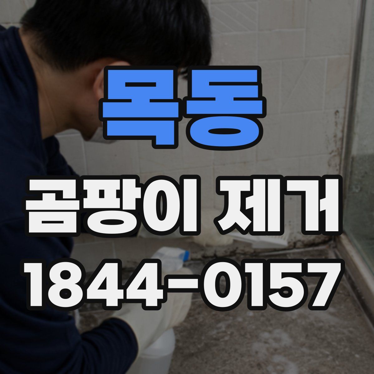 목동 곰팡이 제거