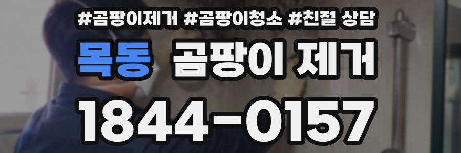 목동 곰팡이 제거