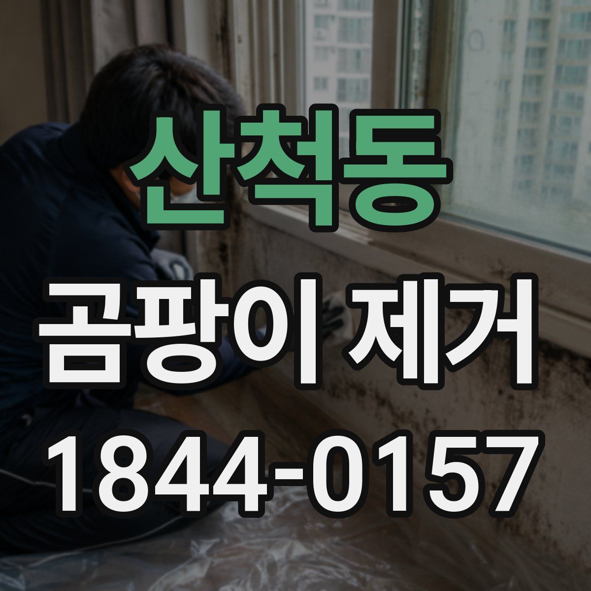 산척동 곰팡이 제거