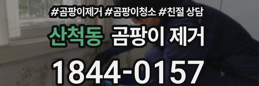산척동 곰팡이 제거