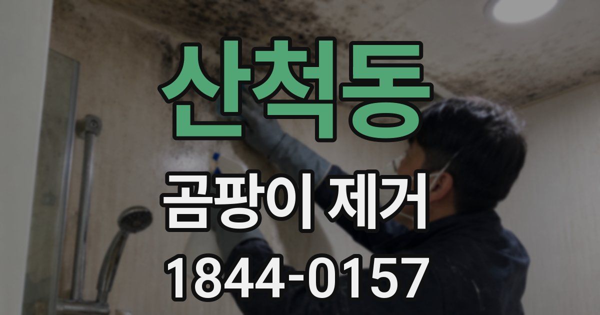산척동 곰팡이 제거