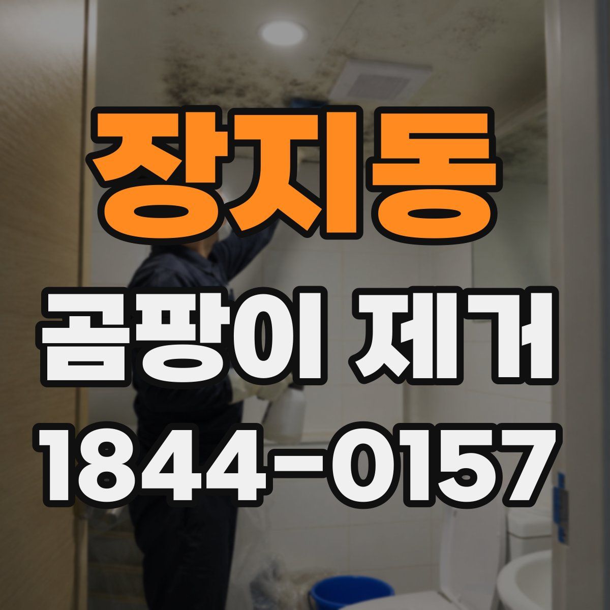 장지동 곰팡이 제거