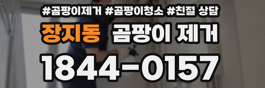 장지동 곰팡이 제거