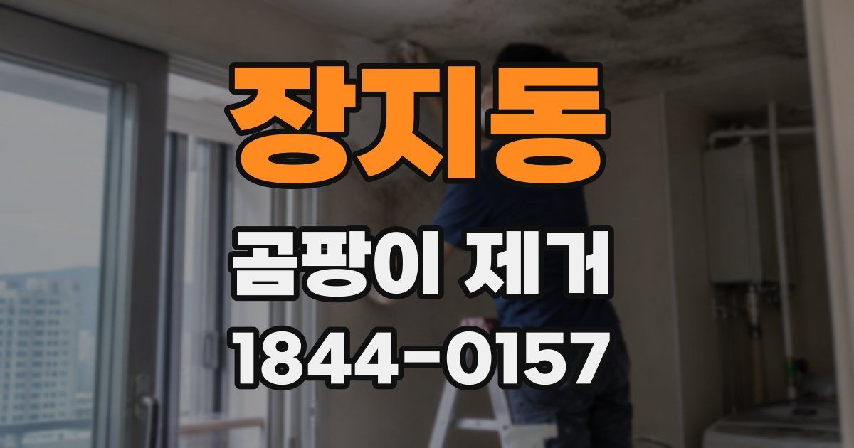 장지동 곰팡이 제거