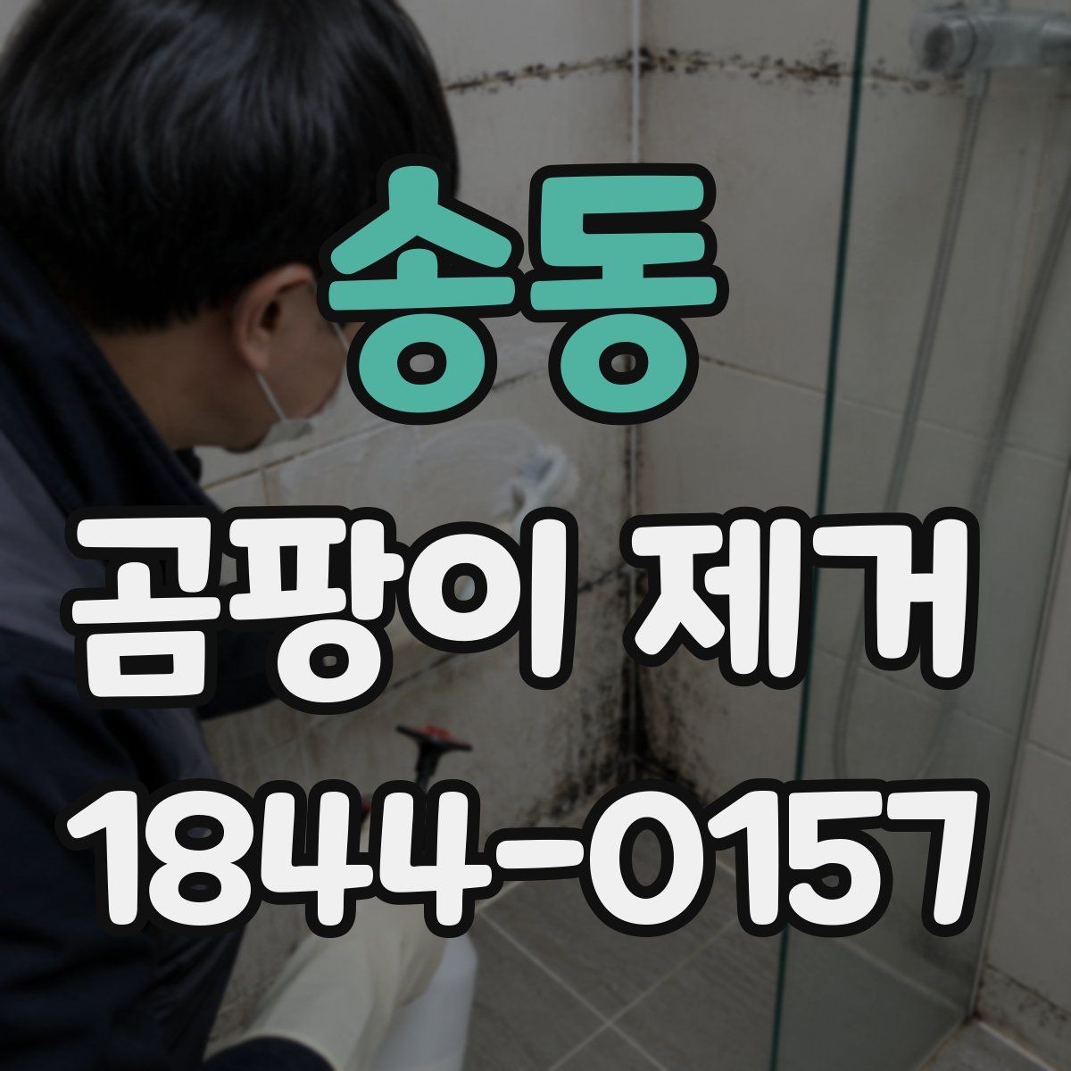 송동 곰팡이 제거 공간별 관리법을 따로 알아보기