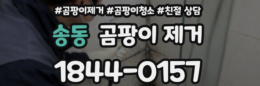 송동 곰팡이 제거