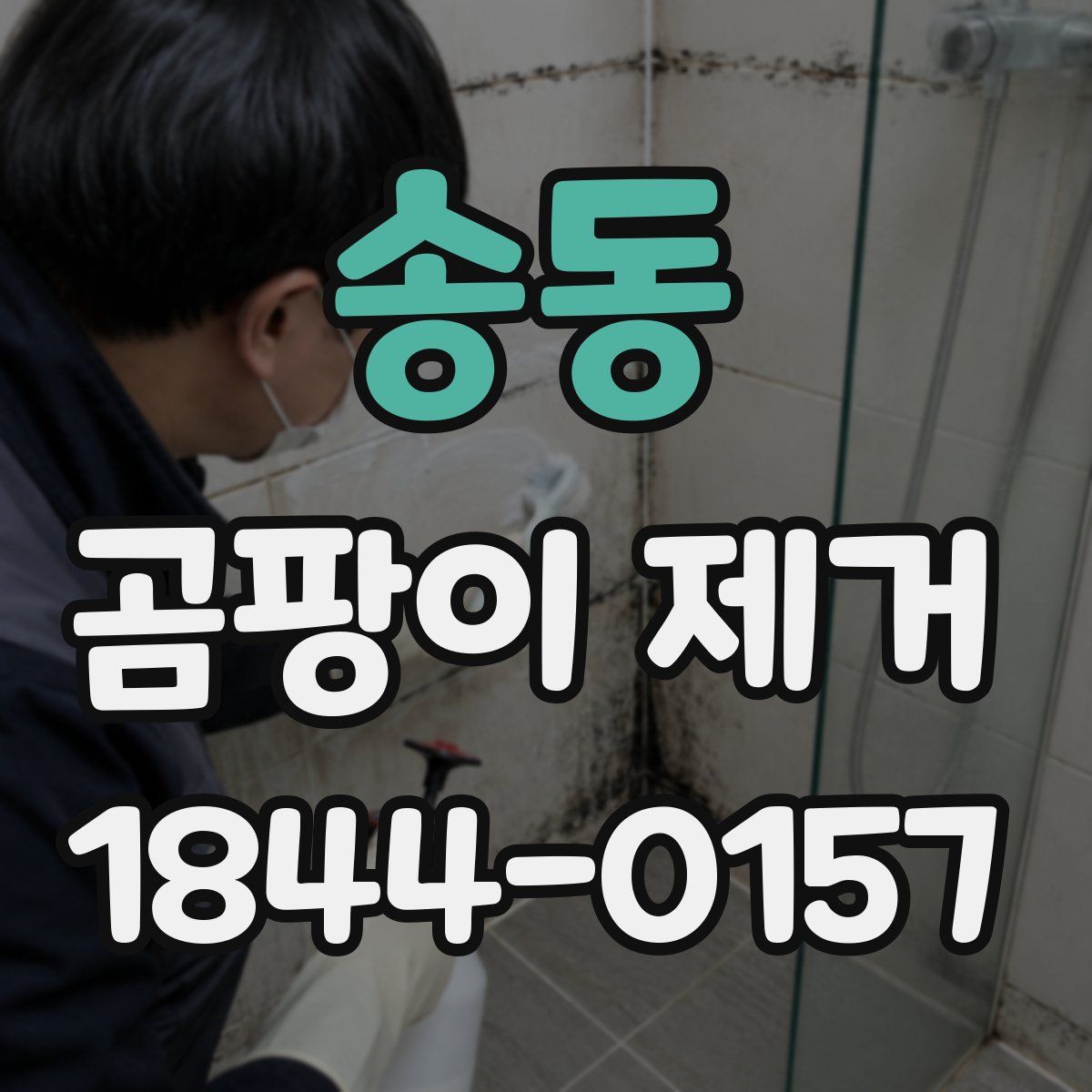 송동 곰팡이 제거