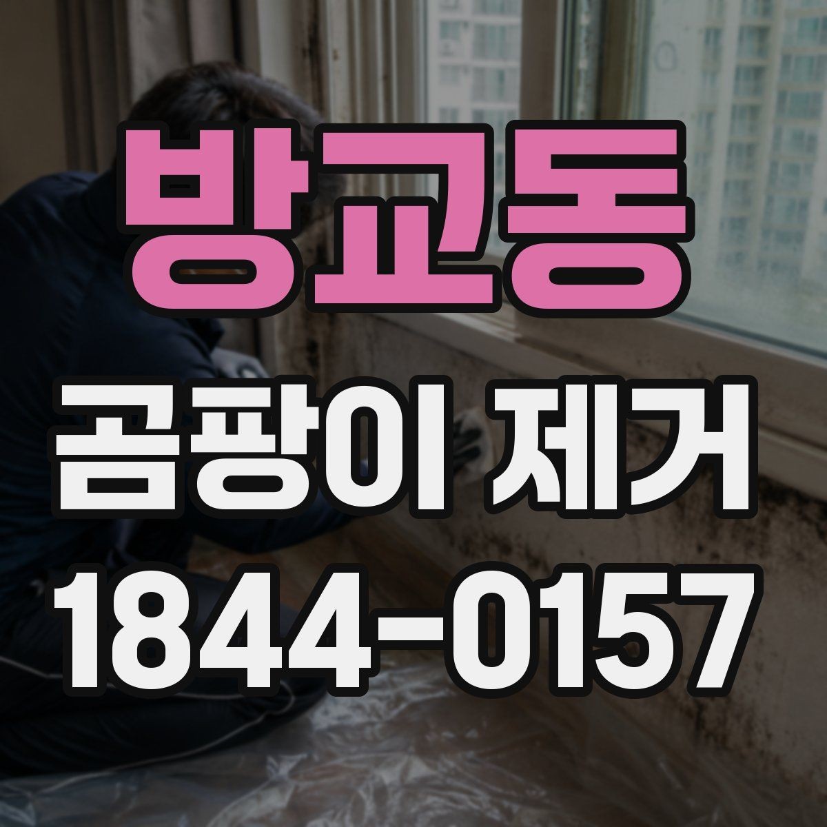 방교동 곰팡이 제거 페인트와 코팅은 어떤 차이가 있을까