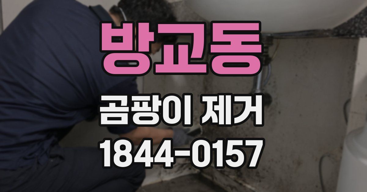 방교동 곰팡이 제거