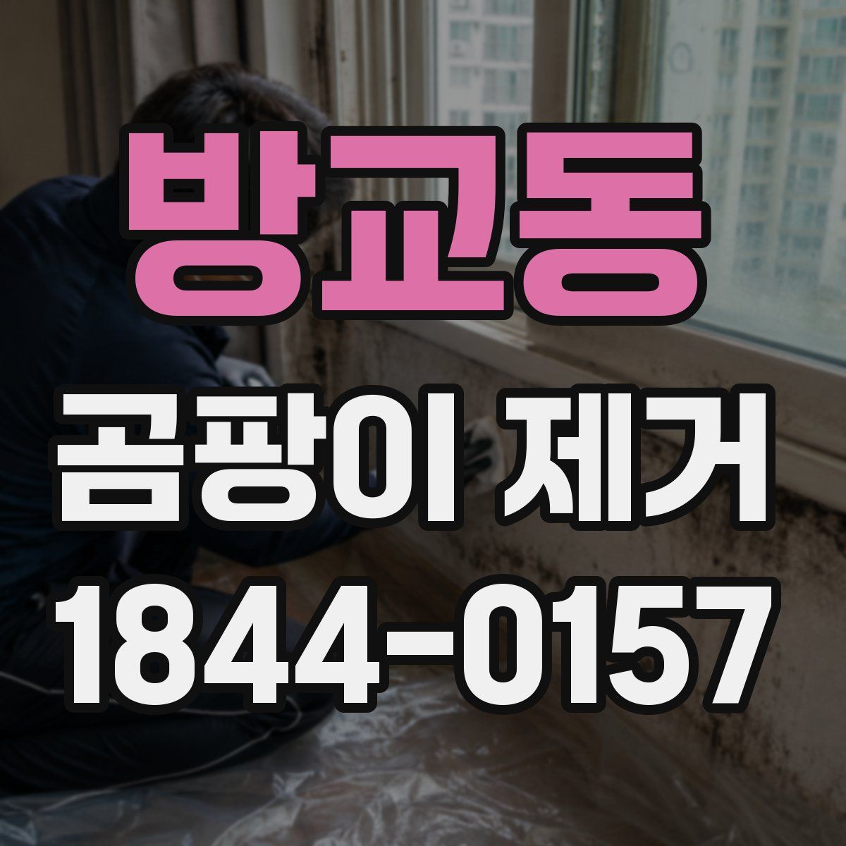 방교동 곰팡이 제거
