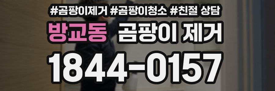 방교동 곰팡이 제거