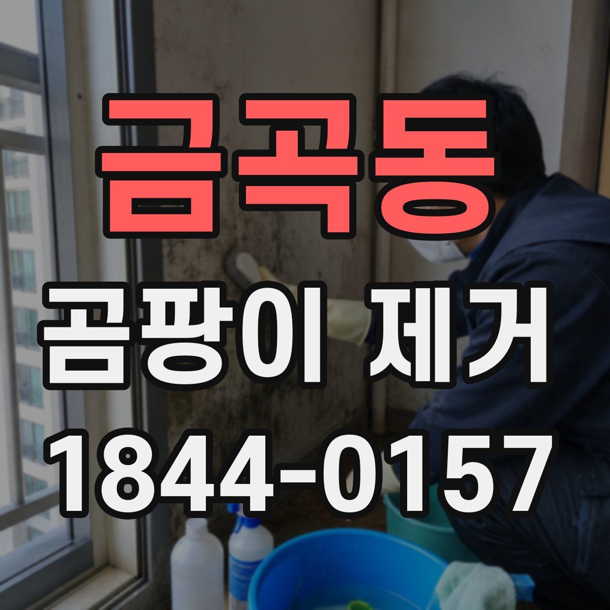 금곡동 곰팡이 제거