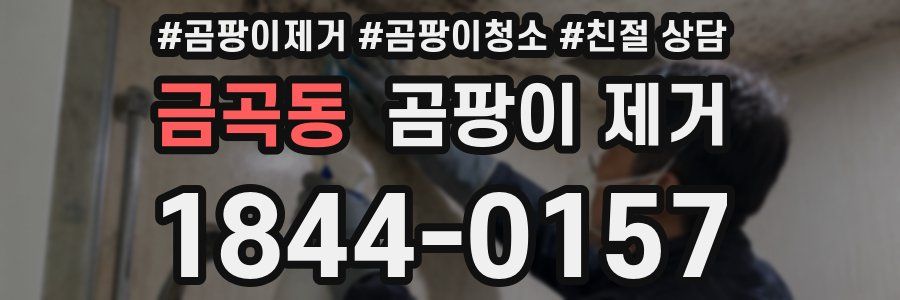 금곡동 곰팡이 제거
