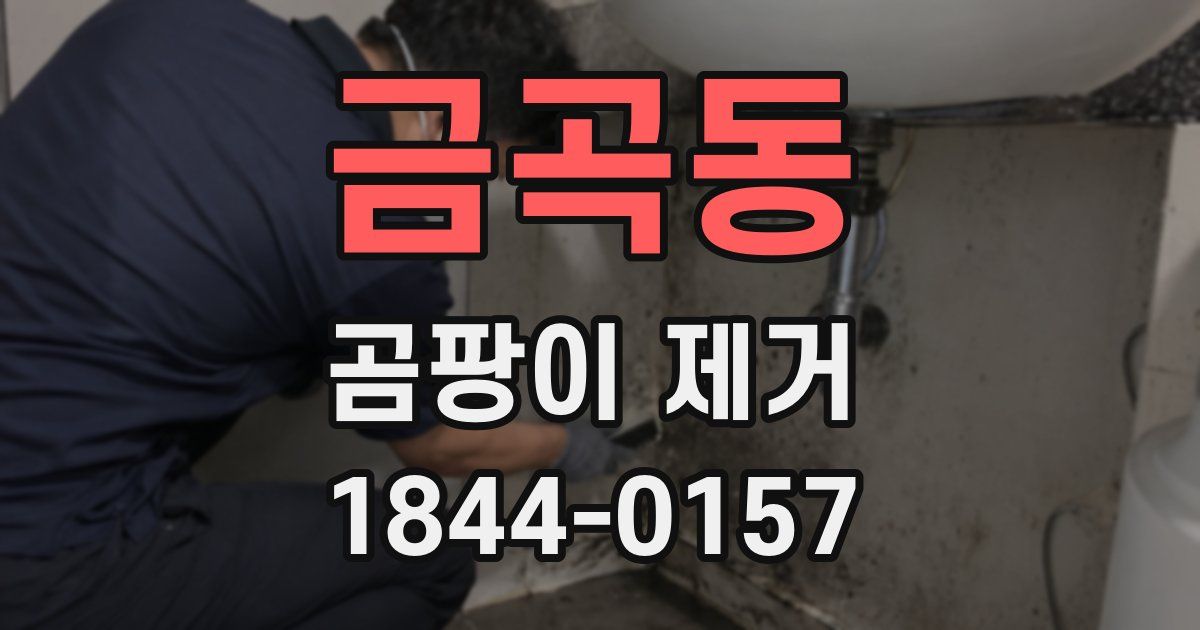 금곡동 곰팡이 제거