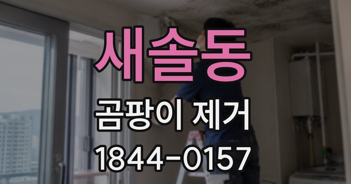 새솔동 곰팡이 제거