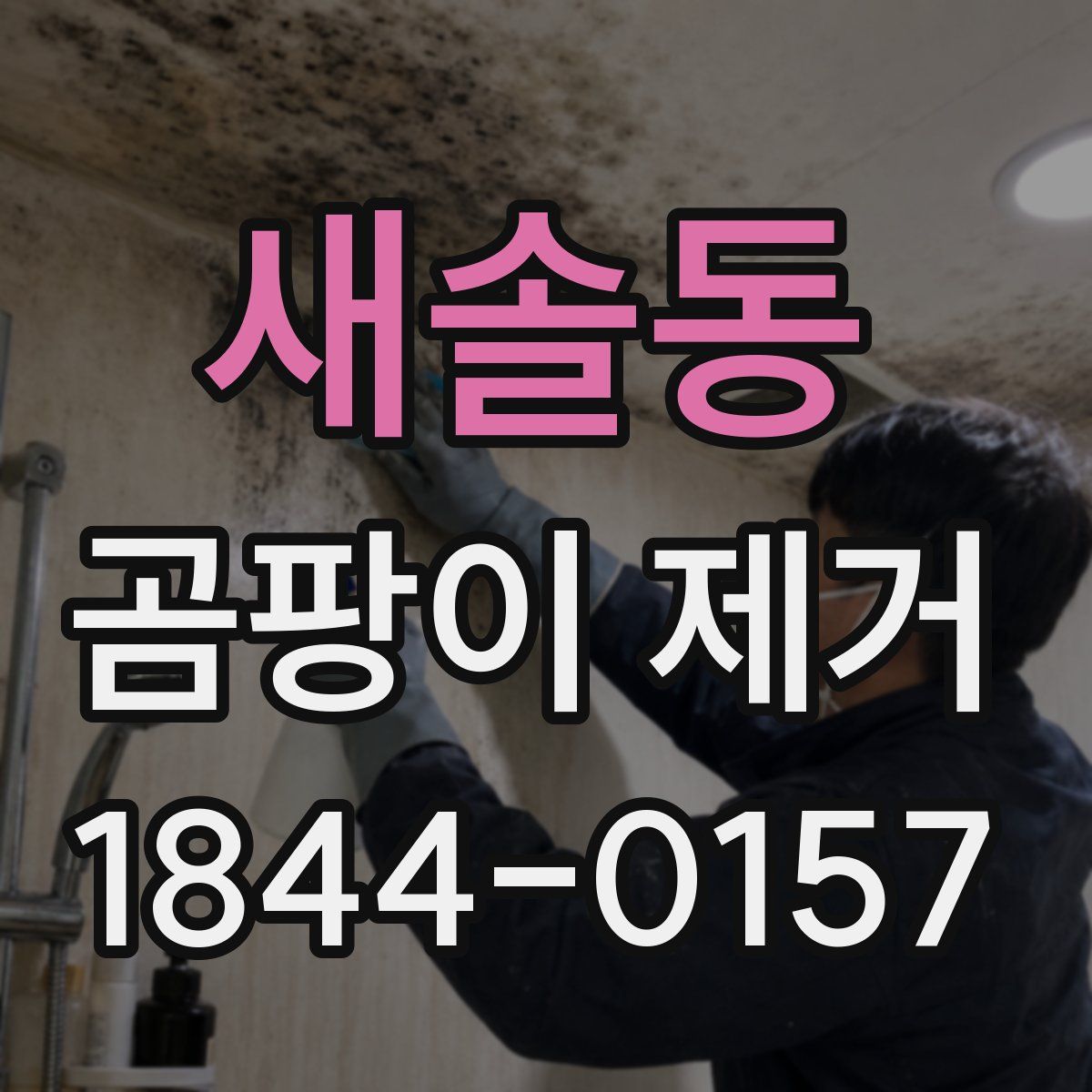 새솔동 곰팡이 제거
