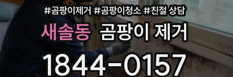 새솔동 곰팡이 제거