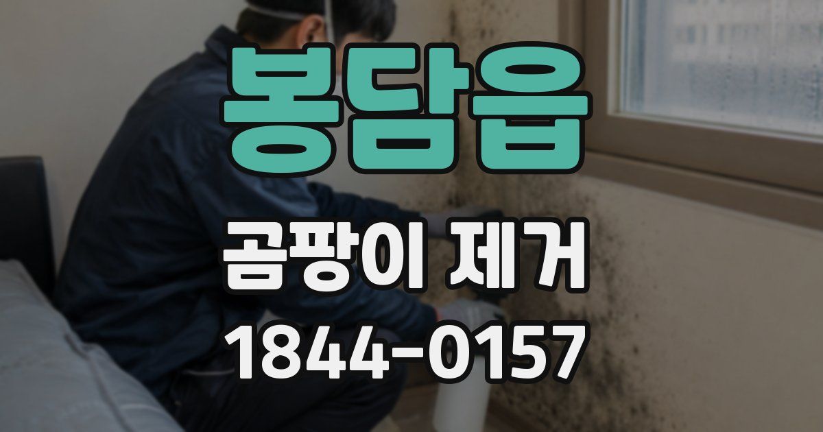 봉담읍 곰팡이 제거