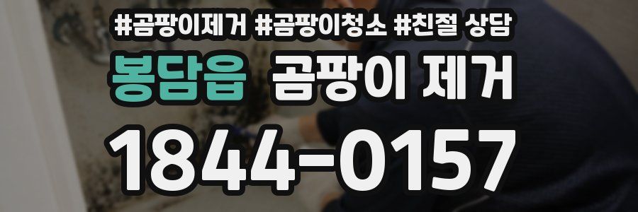 봉담읍 곰팡이 제거