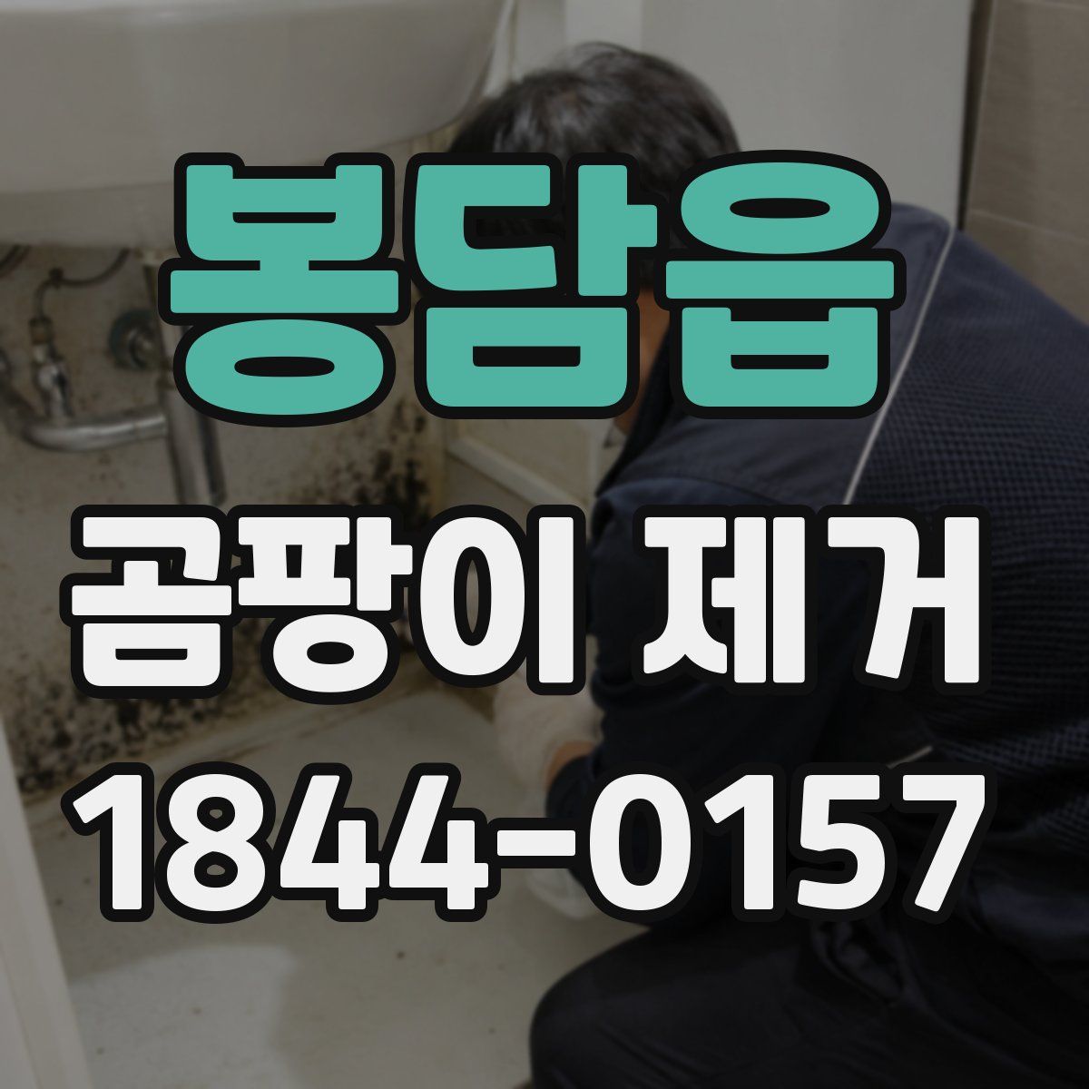봉담읍 곰팡이 제거