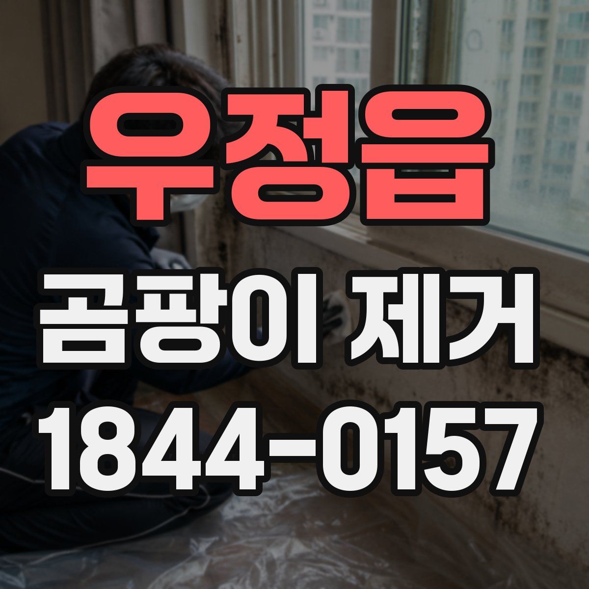 우정읍 곰팡이 제거