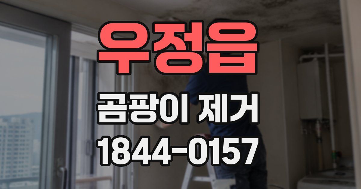 우정읍 곰팡이 제거