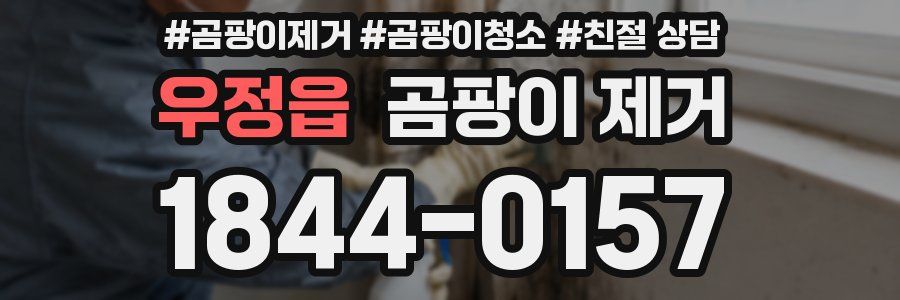 우정읍 곰팡이 제거