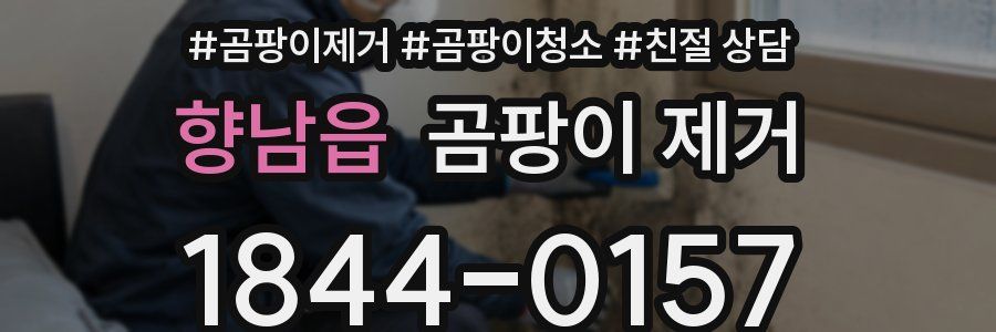 향남읍 곰팡이 제거
