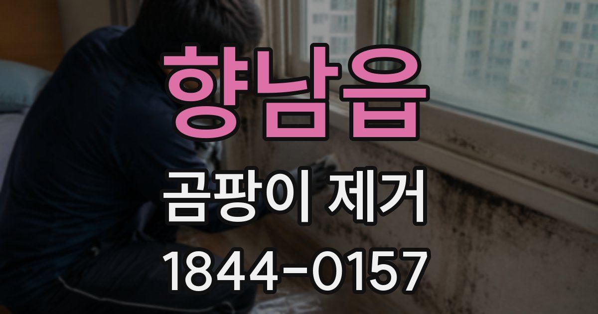향남읍 곰팡이 제거