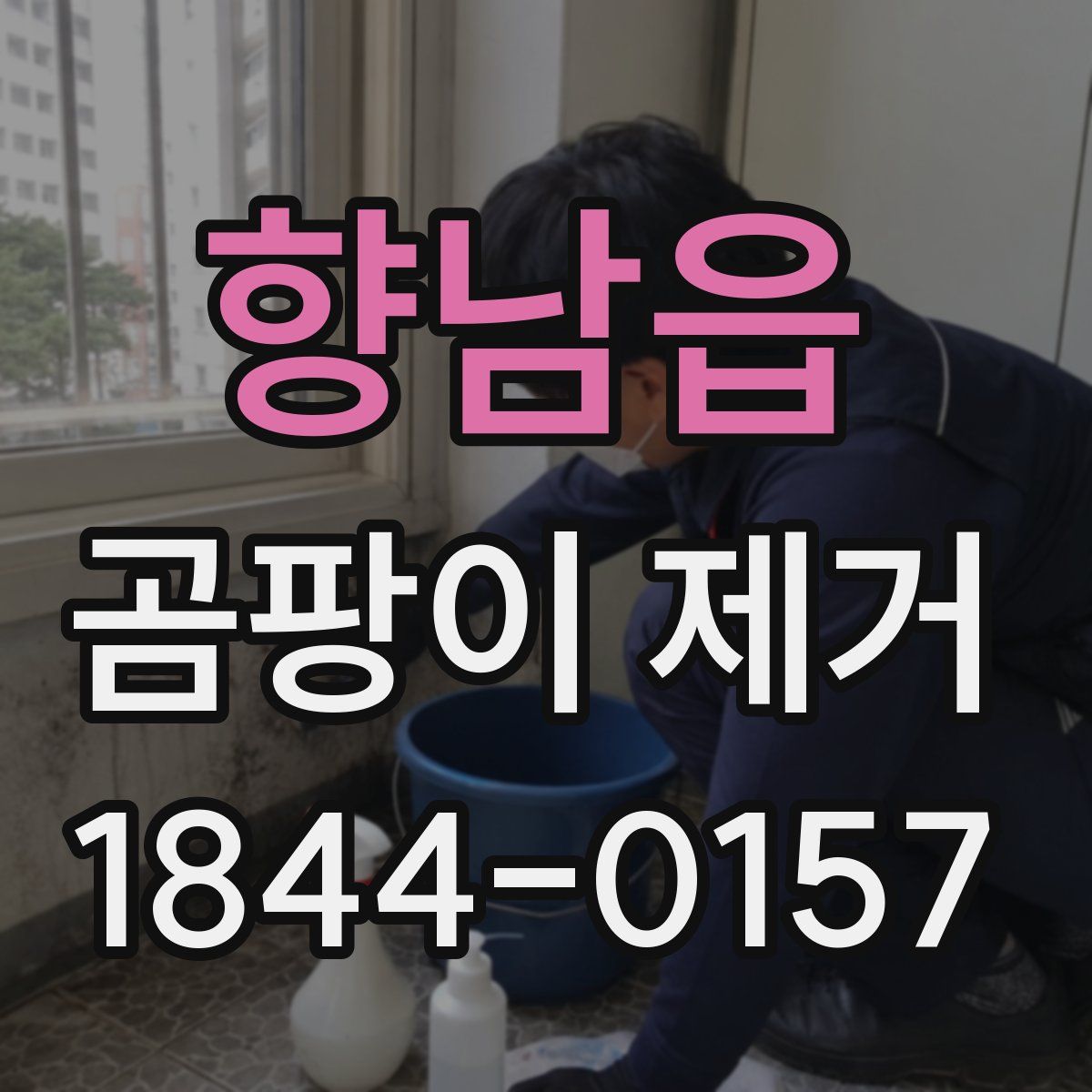 향남읍 곰팡이 제거