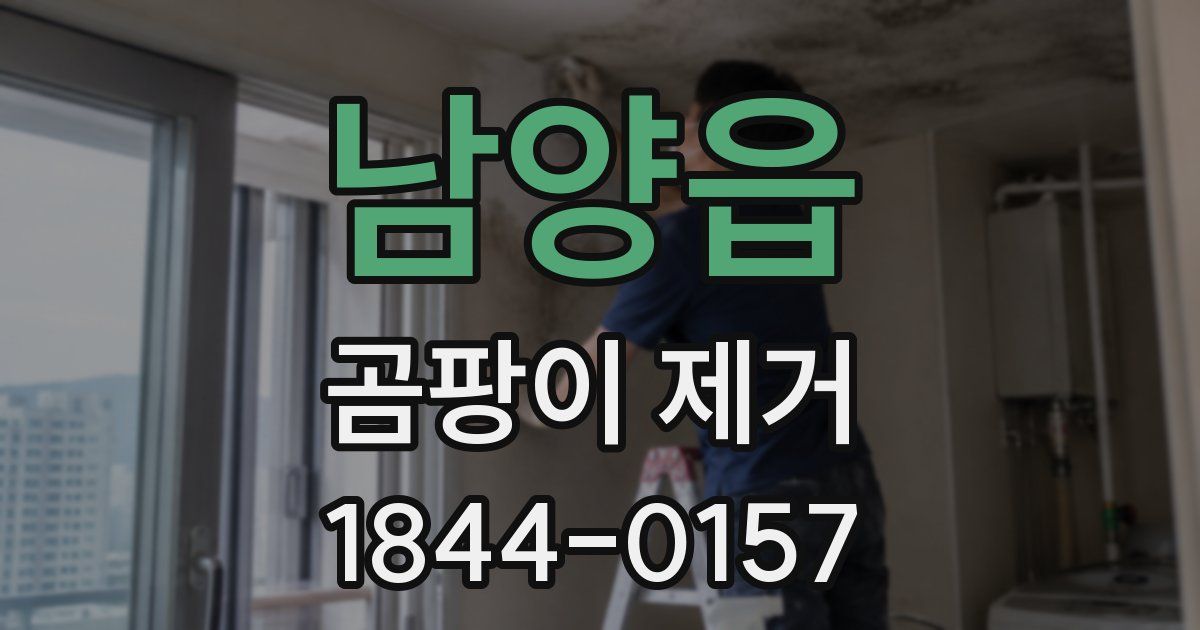 남양읍 곰팡이 제거