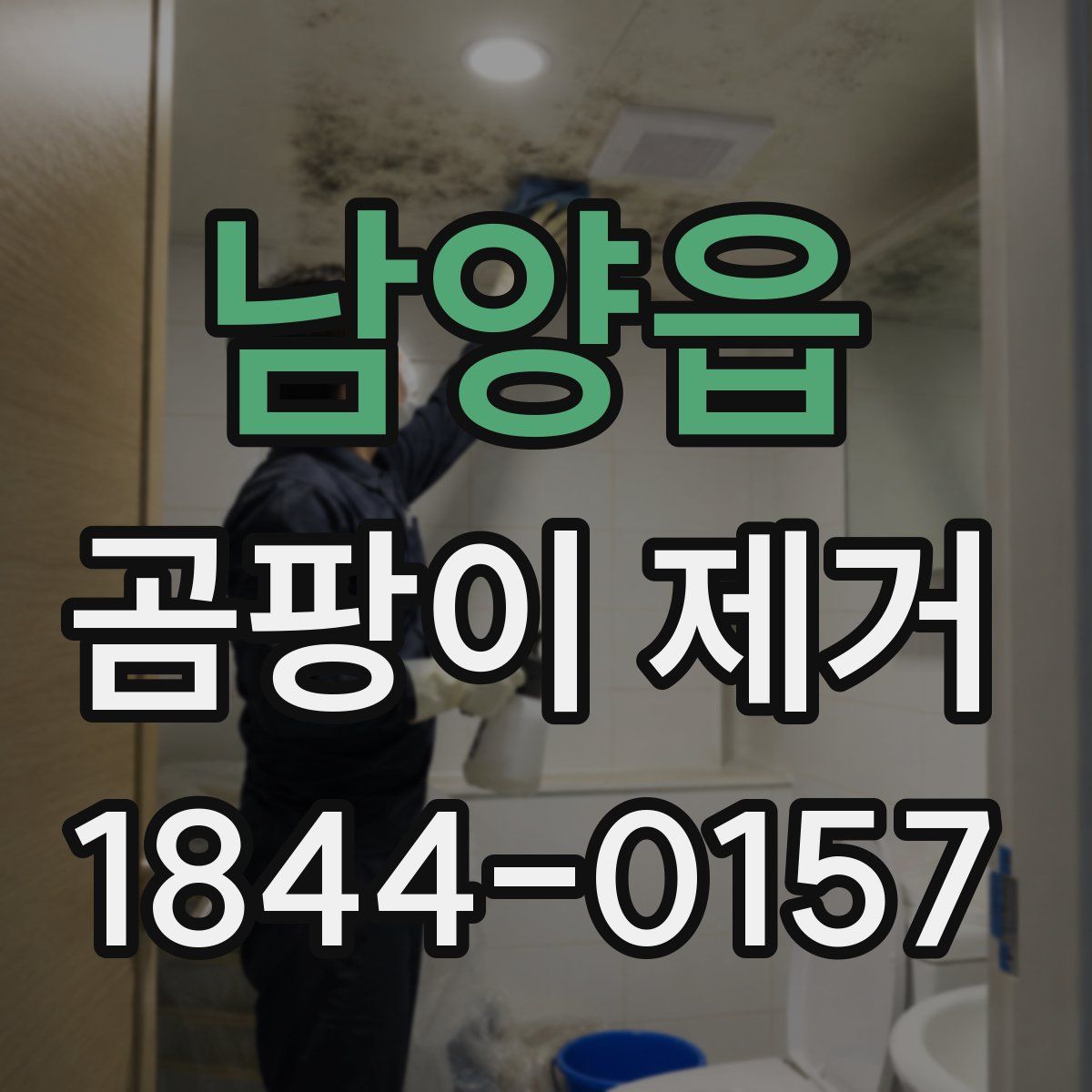 남양읍 곰팡이 제거