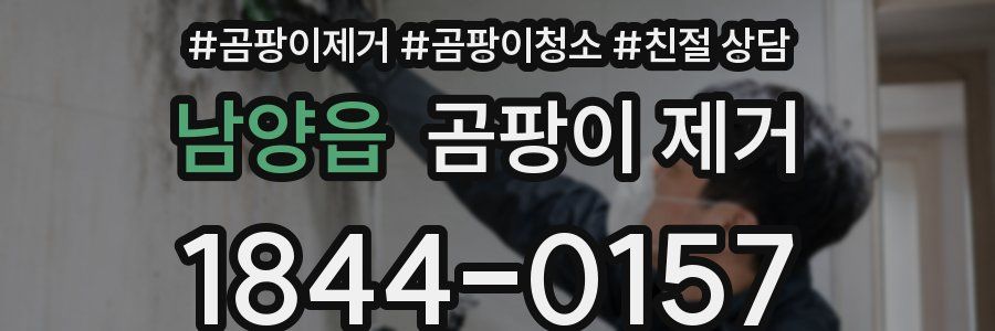 남양읍 곰팡이 제거
